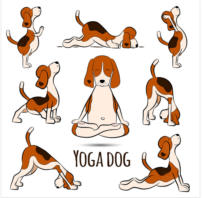 8 reasons to invest in your mobility&nbsp;work: