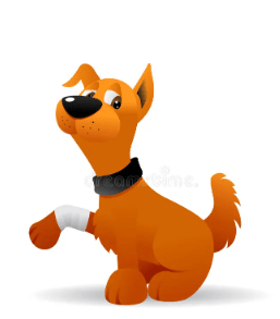 Shoulder WHY Pain&nbsp;?